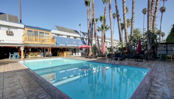 The image shows an outdoor swimming pool surrounded by palm trees and a building with a 