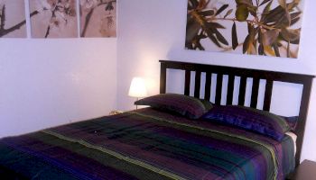 A neatly made bed with a dark wooden headboard, colorful striped bedspread, and pillows, a lit lamp, and nature-themed artwork on the walls.